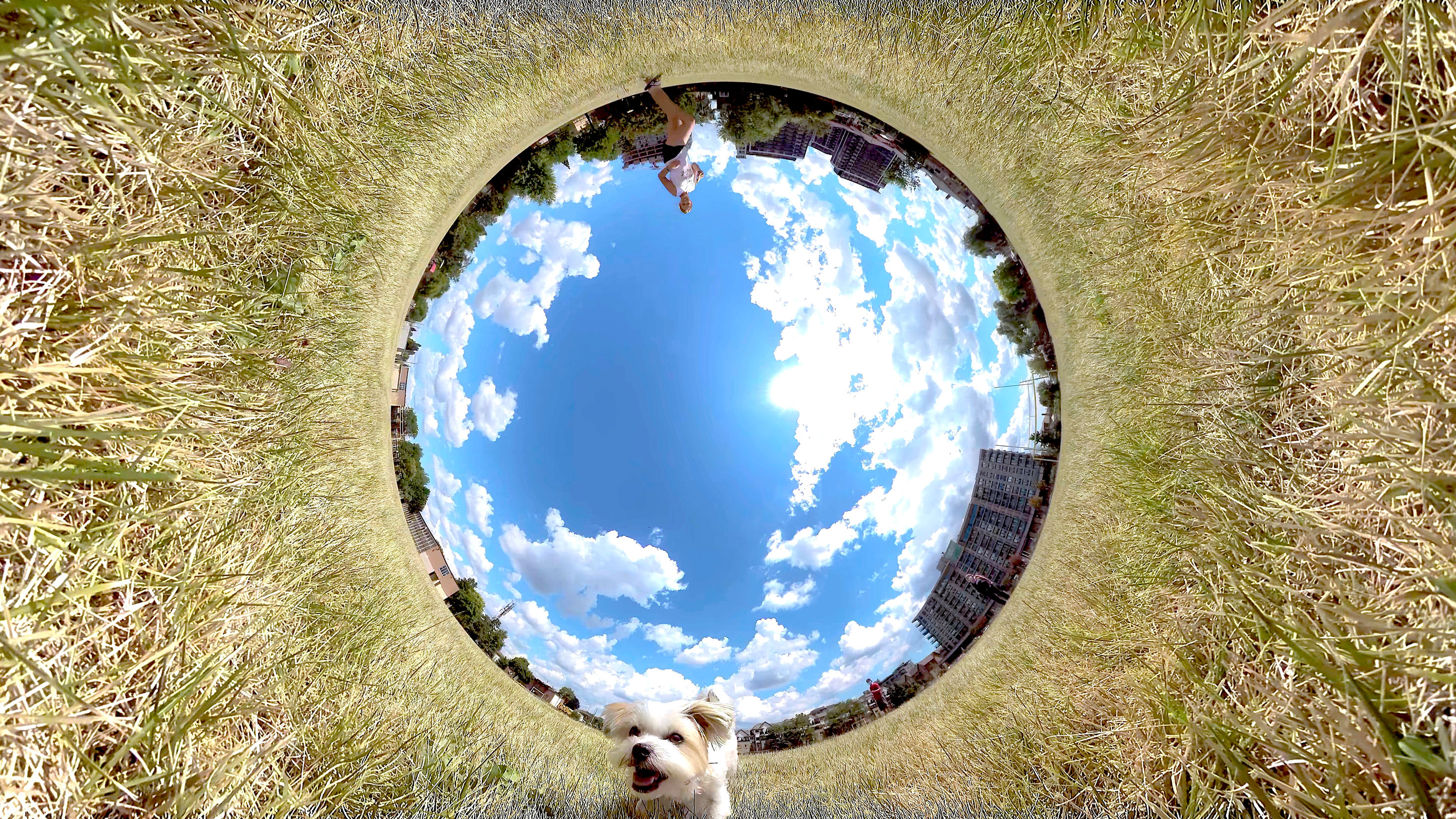 Puppy In Little Big Planet